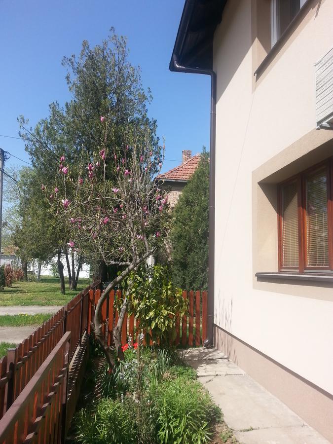 Sweet Dreams Apartment Aranđelovac Eksteriør billede